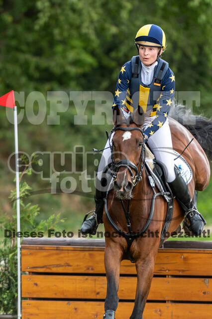 Late-Entry-Vielseitigkeit Langenfeld (06.+07.07.2020)