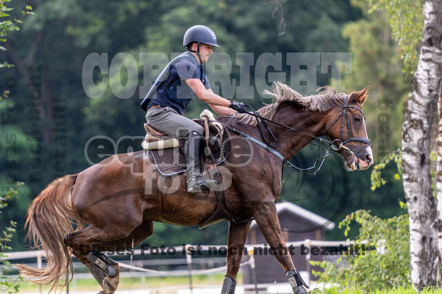 Hunter Geländetraining 10.07.2021 (Sonsbeck)