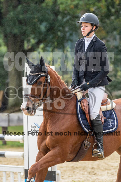 Vielseitigkeit RSV Wesel Obrighoven (26.+27.09.2020)