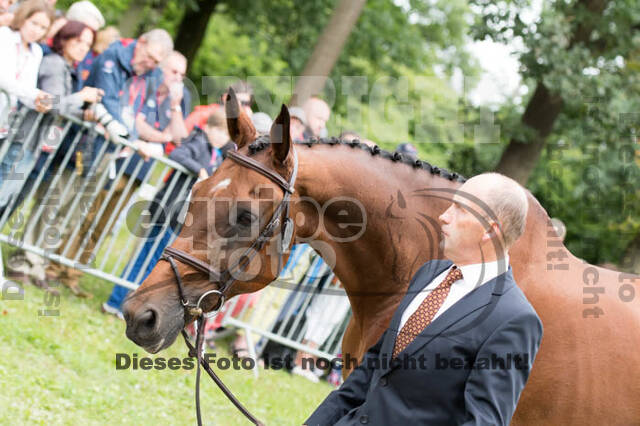 FEI European Championship Eventing 2017