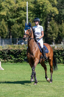 Kronenberg - De Peelbergen (August 2020)