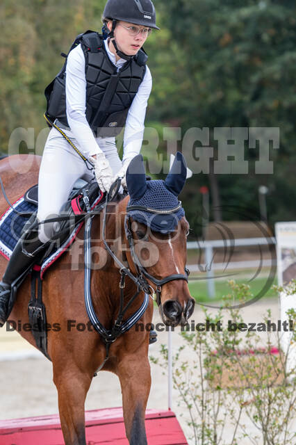 Goldene Schärpe 2020 - Pferde