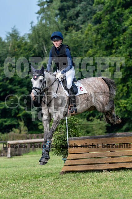 Goldene Schärpe 2021 - Ponys