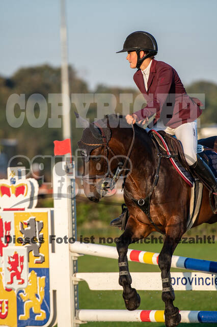 De Peelbergen (August 2020)