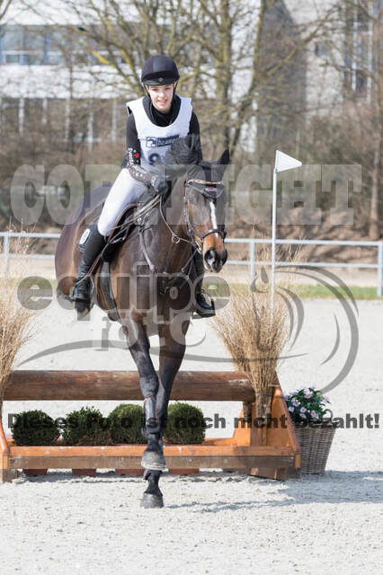 Eventing Langenfeld 2018