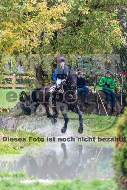 Goldene Schärpe 2020 - Pferde