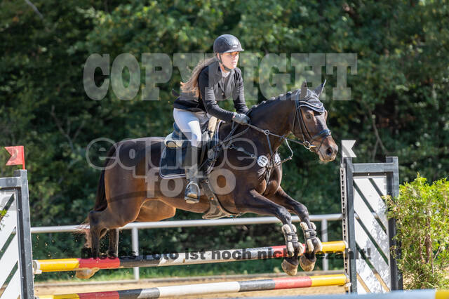 RFV Dinslaken-Hiesfeld (Herbstturnier)