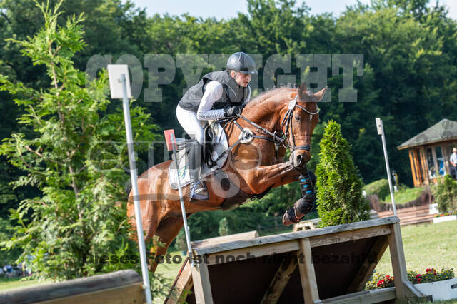 Goldene Schärpe 2021 - Ponys