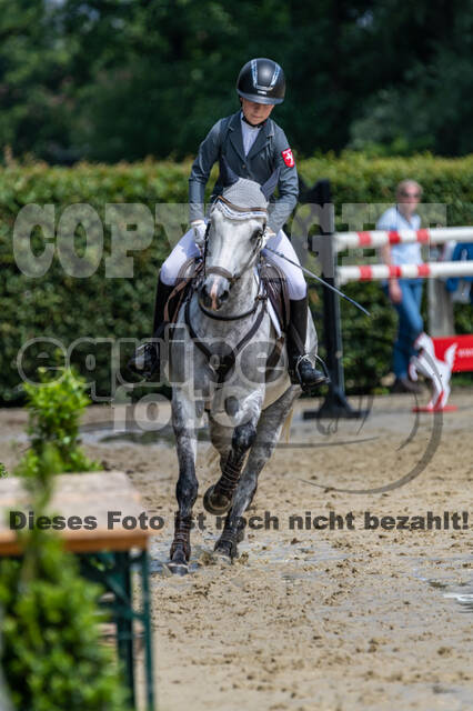 Goldene Schärpe 2021 - Ponys