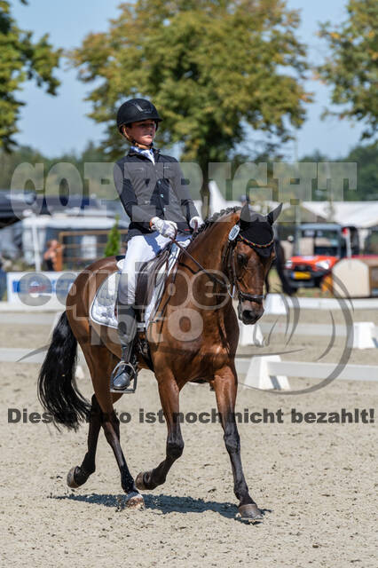 Kronenberg - De Peelbergen (August 2020)