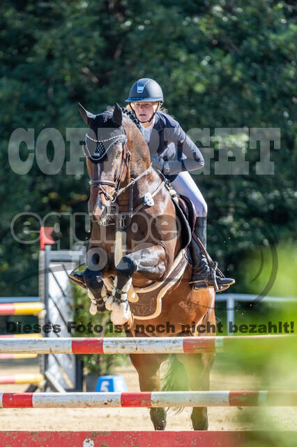 RFV Dinslaken-Hiesfeld (Herbstturnier)