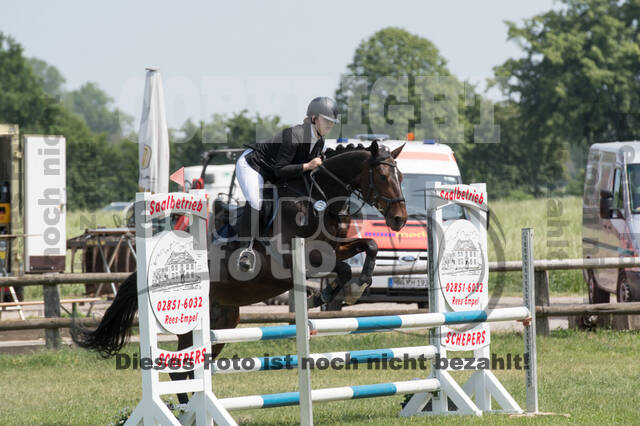 Vielseitigkeitsturnier ZRuFV von Lützow Hamminkeln
