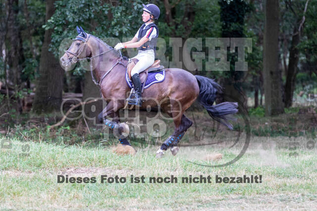 Late-Entry Vielseitigkeit Hamminkeln/Wesel (01.+02.08.2020)