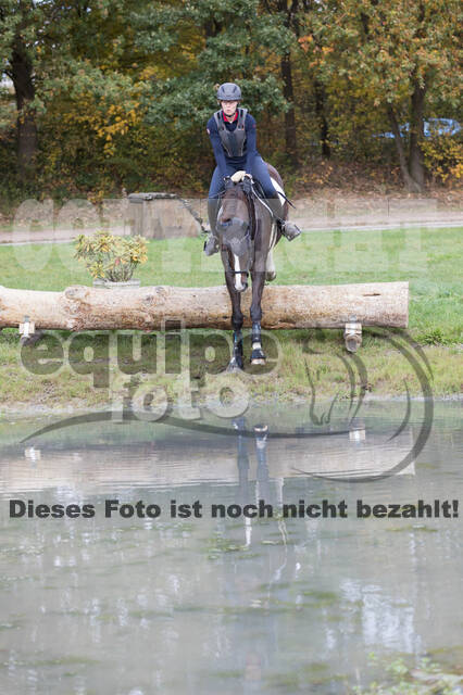 IGV Lehrgang der Sieger der Cups mit Frank Ostholt