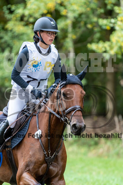 Vielseitigkeit RSV Wesel Obrighoven (26.+27.09.2020)