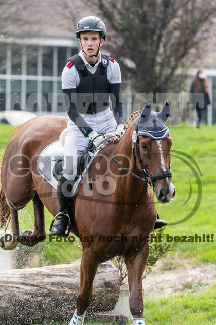 Goldene Schärpe 2020 - Pferde