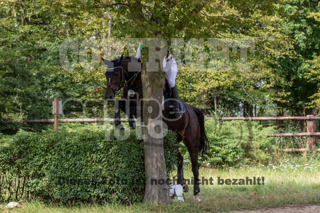 Late-Entry-Vielseitigkeit Gahlen (18.07.2020)