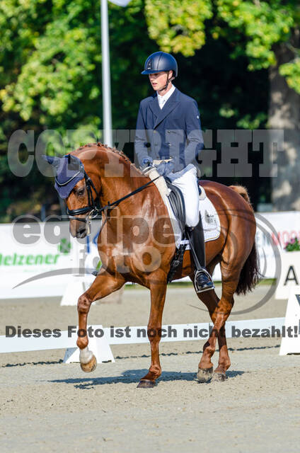 Deutsche Meisterschaft Vielseitigkeit (Luhmühlen)