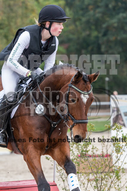 Goldene Schärpe 2020 - Pferde