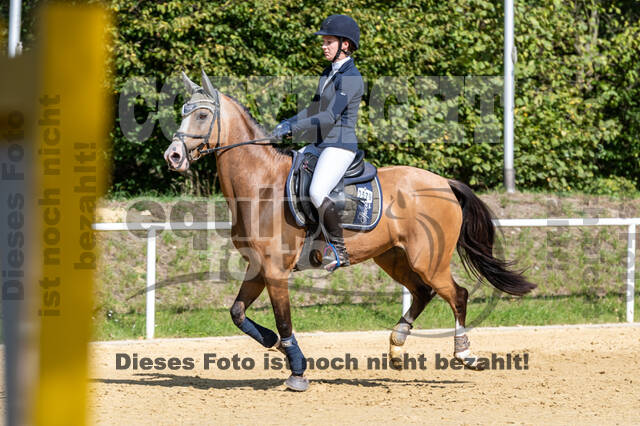 RFV Dinslaken-Hiesfeld (Herbstturnier)