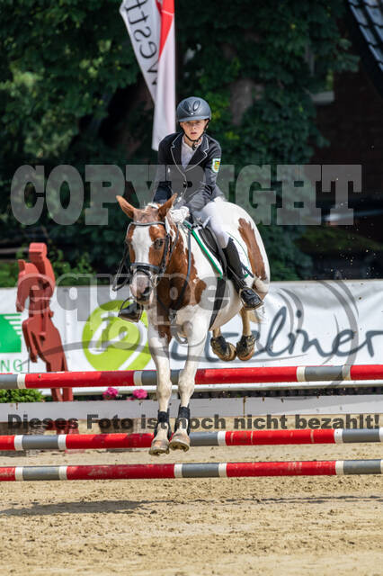 Goldene Schärpe 2021 - Ponys