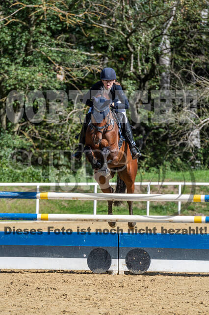 RFV Dinslaken-Hiesfeld (Herbstturnier)