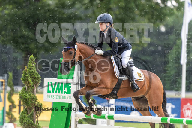 Goldene Schärpe 2021 - Ponys