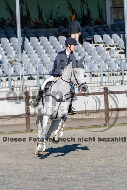 Deutsche Meisterschaft Vielseitigkeit (Luhmühlen)