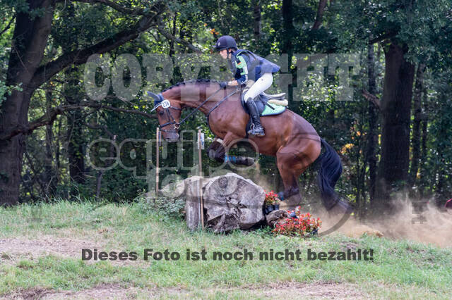 Late-Entry Vielseitigkeit Hamminkeln/Wesel (01.+02.08.2020)