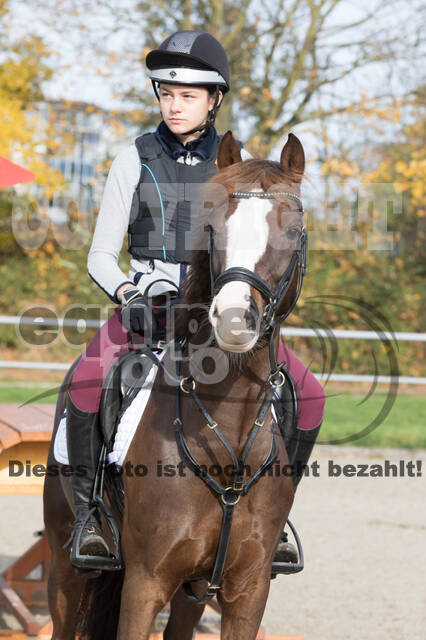IGV Lehrgang der Sieger der Cups mit Frank Ostholt