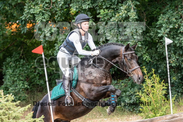 Late-Entry-Vielseitigkeit Langenfeld (11.+13./14.06.2020)