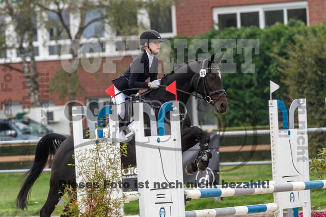 Goldene Schärpe 2020 - Pferde