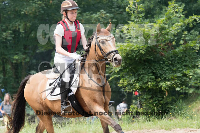 RFV Bad Honnef