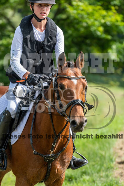 Goldene Schärpe 2021 - Ponys