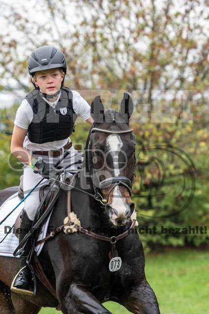 Goldene Schärpe 2020 - Pferde