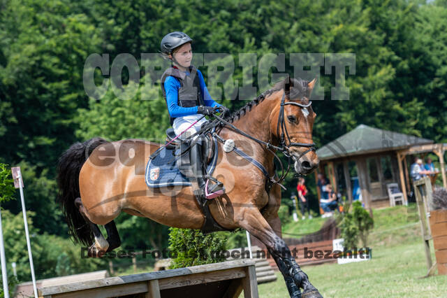 Goldene Schärpe 2021 - Ponys