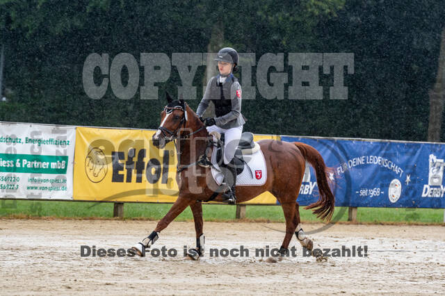 Goldene Schärpe 2021 - Ponys