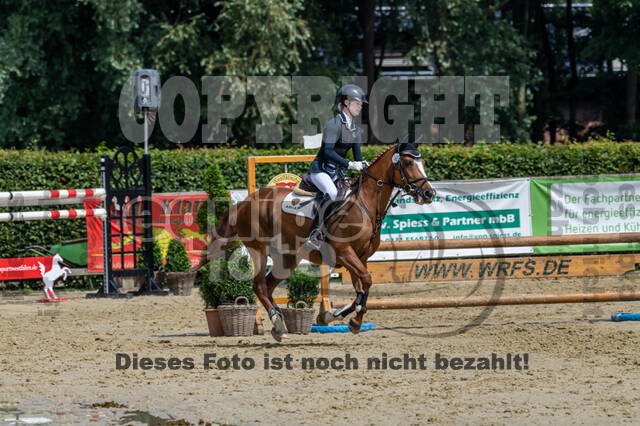 Goldene Schärpe 2021 - Ponys