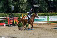 Goldene Schärpe 2021 - Ponys