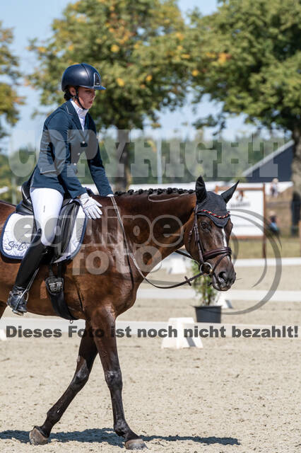 Kronenberg - De Peelbergen (August 2020)