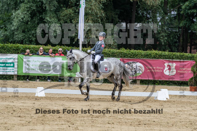 Goldene Schärpe 2021 - Ponys