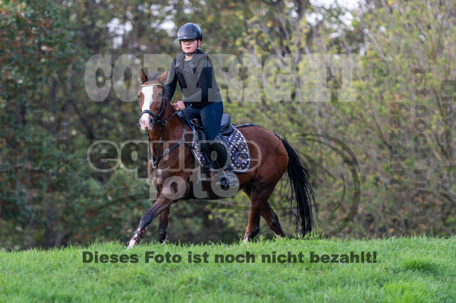 IGV Lehrgang der Sieger der Cups mit Frank Ostholt