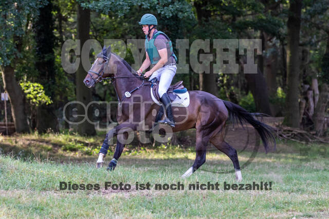 Late-Entry Vielseitigkeit Hamminkeln/Wesel (01.+02.08.2020)