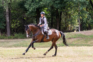 Late-Entry Vielseitigkeit Hamminkeln/Wesel (01.+02.08.2020)