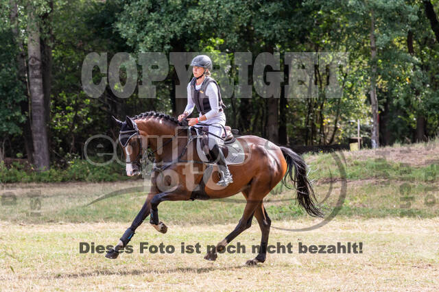 Late-Entry Vielseitigkeit Hamminkeln/Wesel (01.+02.08.2020)