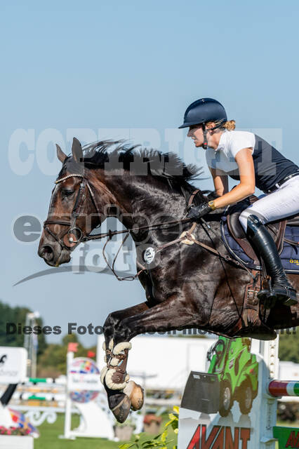 Kronenberg - De Peelbergen (August 2020)