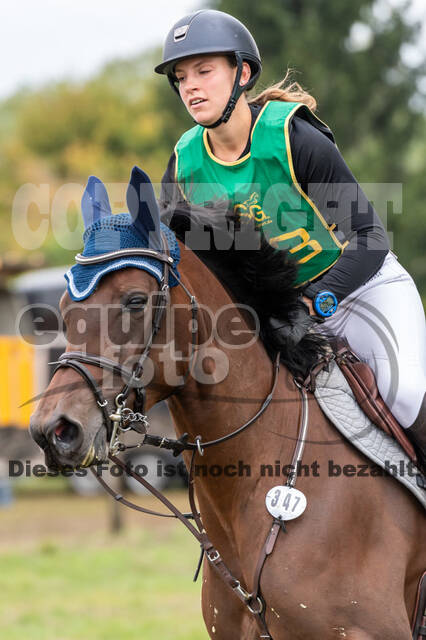 Vielseitigkeit RSV Wesel Obrighoven (26.+27.09.2020)