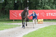 FEI European Championship