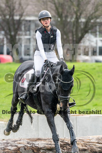Goldene Schärpe 2020 - Pferde