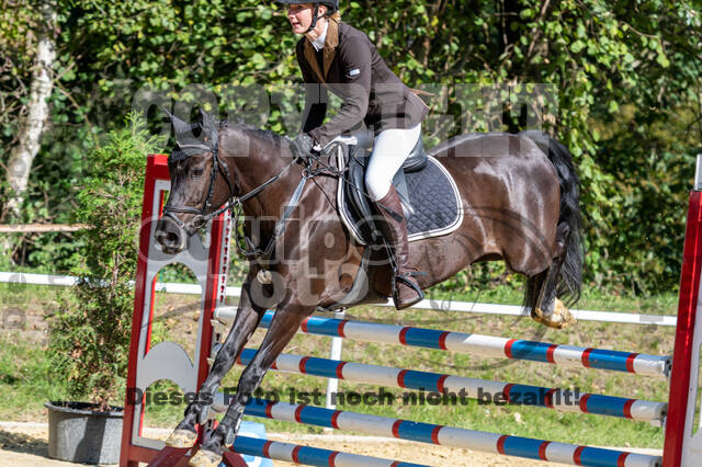 RFV Dinslaken-Hiesfeld (Herbstturnier)
